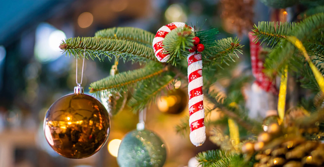 Aktualność: Wesołych Świąt Bożego Narodzenia!